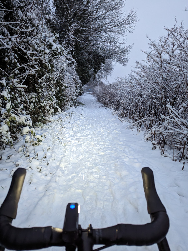 PXL_20240117_162936584