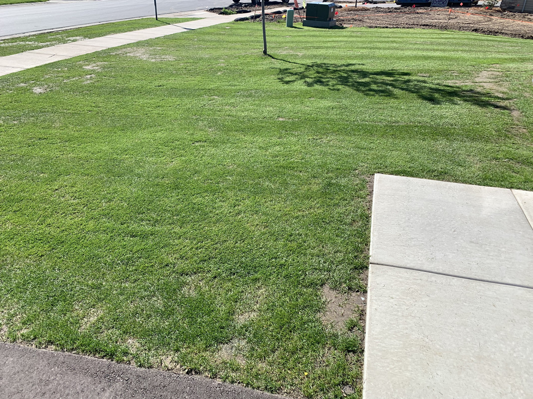 B45AA870-71FE-4698-8BE6-C7218AAA41B1