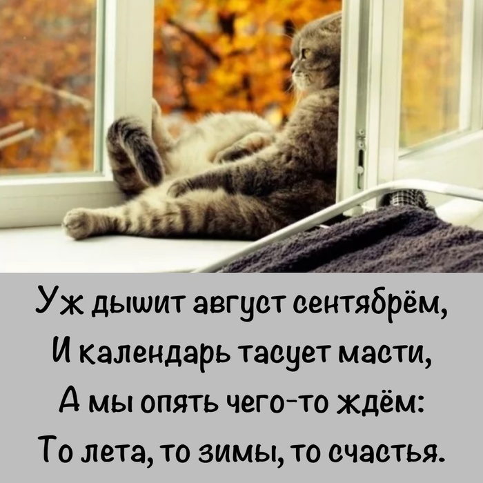 Уж дышит август сентябрем и календарь тасует. Уж дышит август сентябрем и календарь. Уж август дышит сентябрем и календарь тасует. Уж август дышит сентябрем и календарь тасует. Уж дышит август сентябрем картинки.