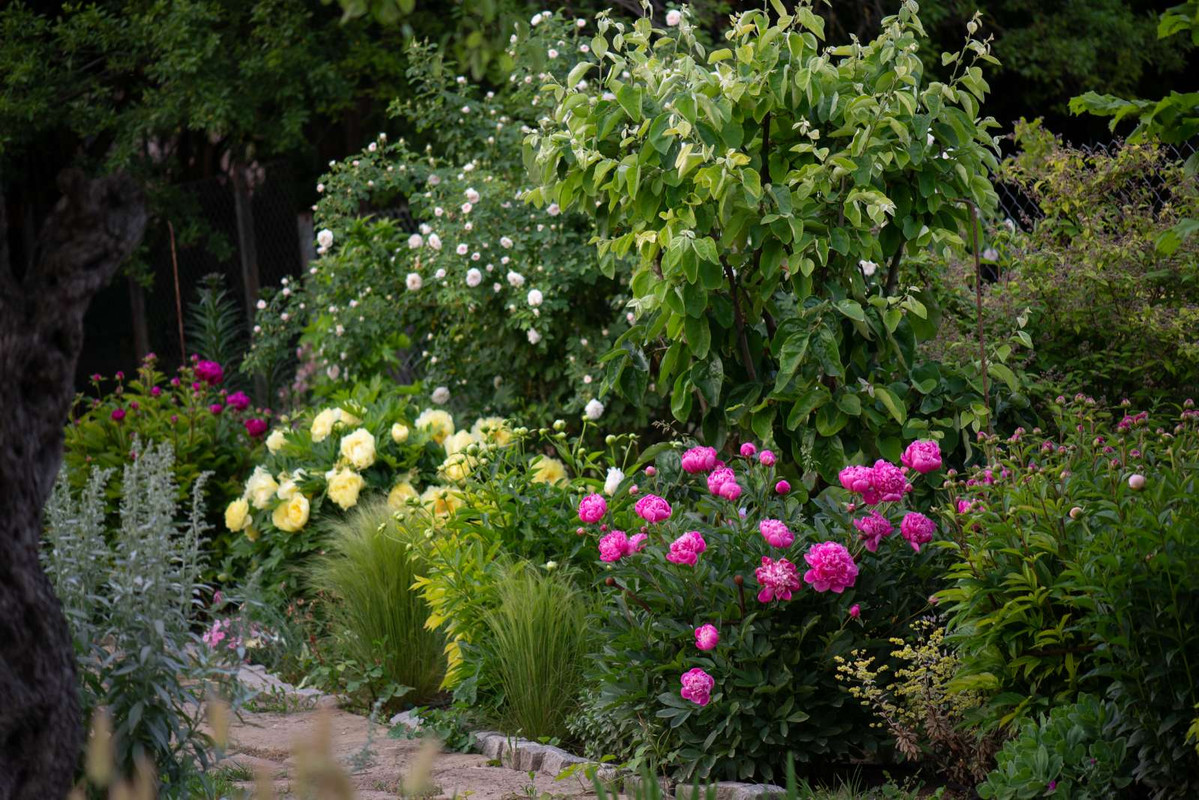 IMG-1359609e9c81680db71ad41489c1e60d-V
