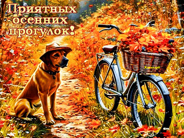 Приятных осенних прогулок