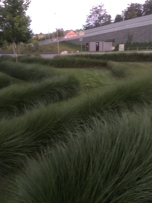 ABE2CB03-D02D-431B-A3A2-A8CF21A6C28F