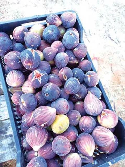 photo_2024-01-07_17-30-17 (2)