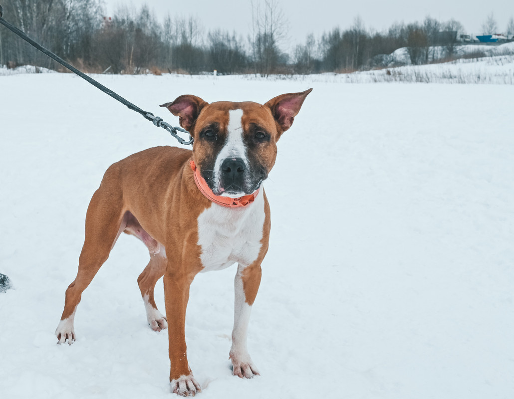 C04D932C-614A-464E-9CCA-6127868FC930