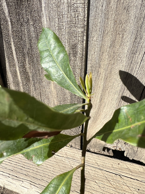 75D722B5-0096-4265-83F6-7A829C69CD7D