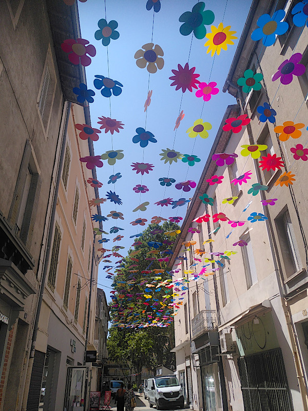 Décoration de rue, des fleurs dans le ciel