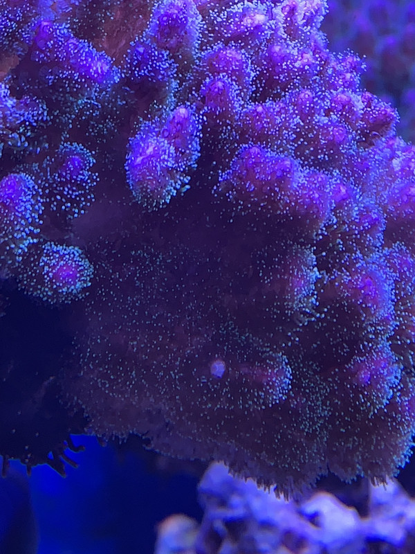 8C9856D4-B50E-4BB7-AD7E-CE27652BCC85