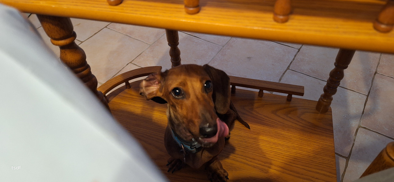 [Image: 20250722-210122.jpg]