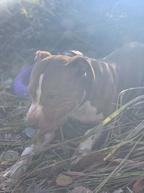 3739091F-EC3E-44B6-A6B9-D64C2957B356