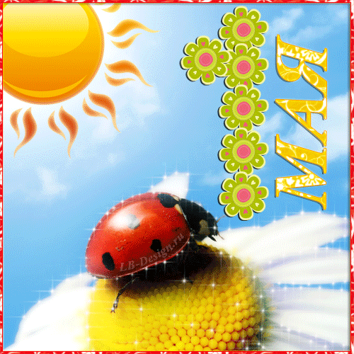 https://i.postimg.cc/jqQQw1VN/86656041-86652471-115583933.gif