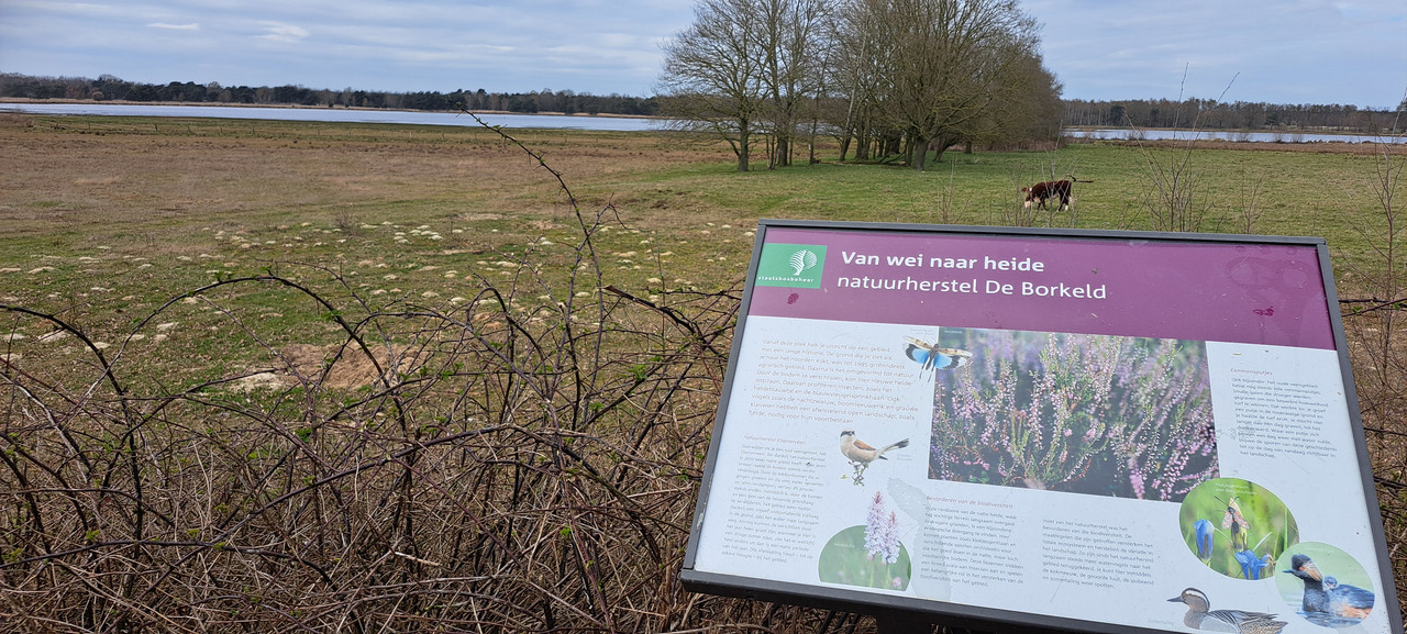 [Afbeelding: 20260403-145414.jpg]