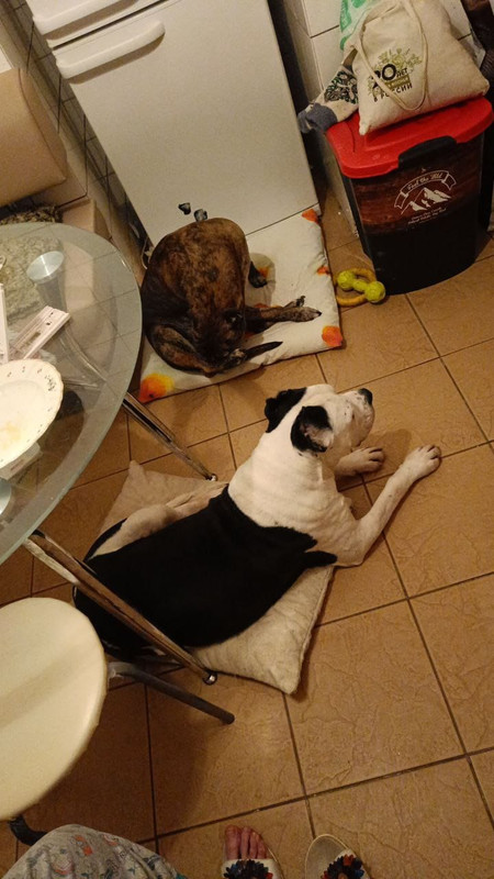 8C4F2B4B-E562-4A0D-8854-41E24D521BEE