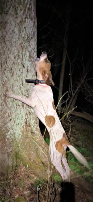 Resized_IMG_4313 (1)