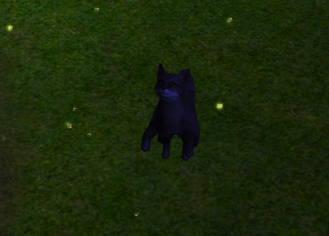 Sims2-EP9-RPC-2023-06-18-20-30-10-68