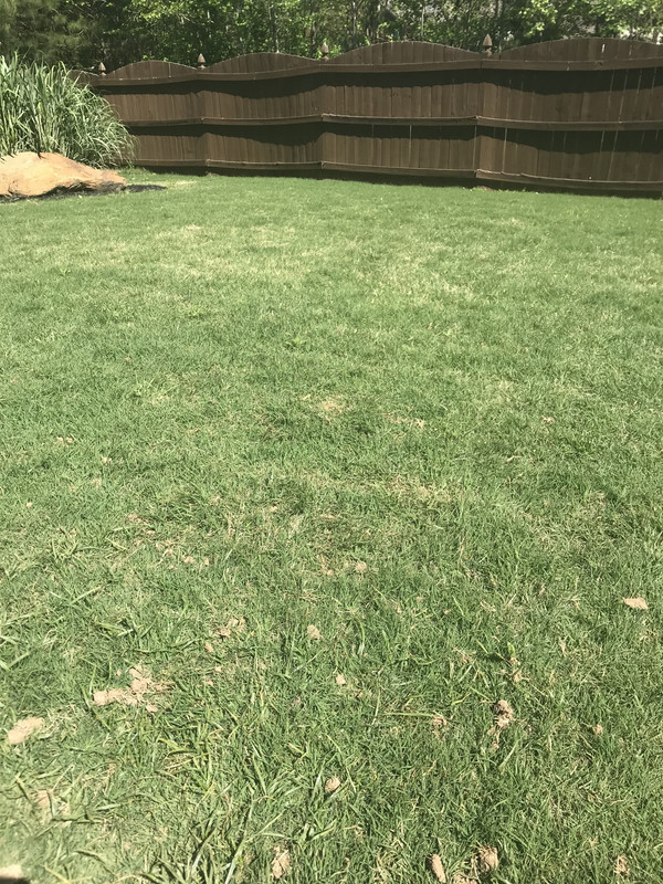 1CF0442F-7923-40EF-A3E7-17701B604EB2