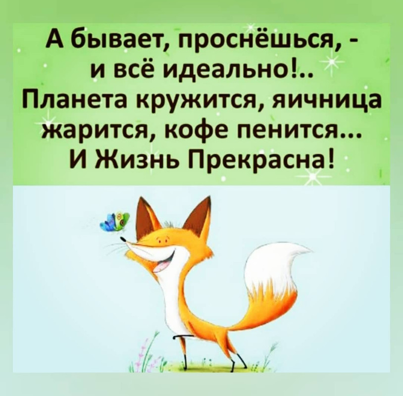 IMG-20210703-094341.jpg