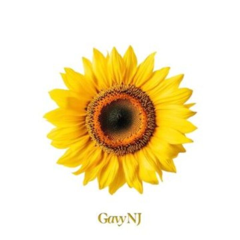 The Gavy NJ : II - 가비엔제이 album cover