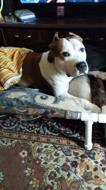 A3836268-8C74-4065-A505-749177801088