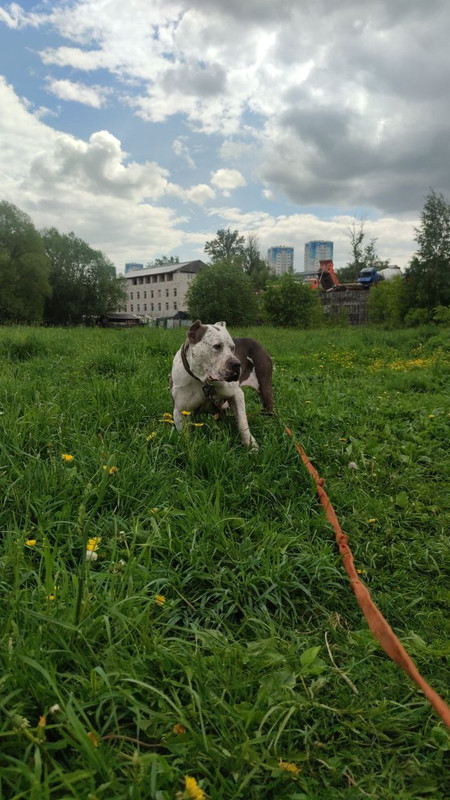 photo_2022-06-09_12-30-11 (3)