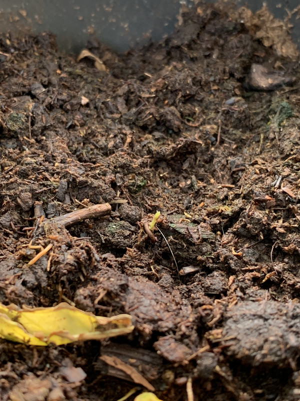 E712FAC3-DA5C-40B6-8D2A-27A755BAD686