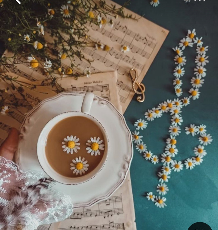 Screenshot_20240610_224627_Pinterest