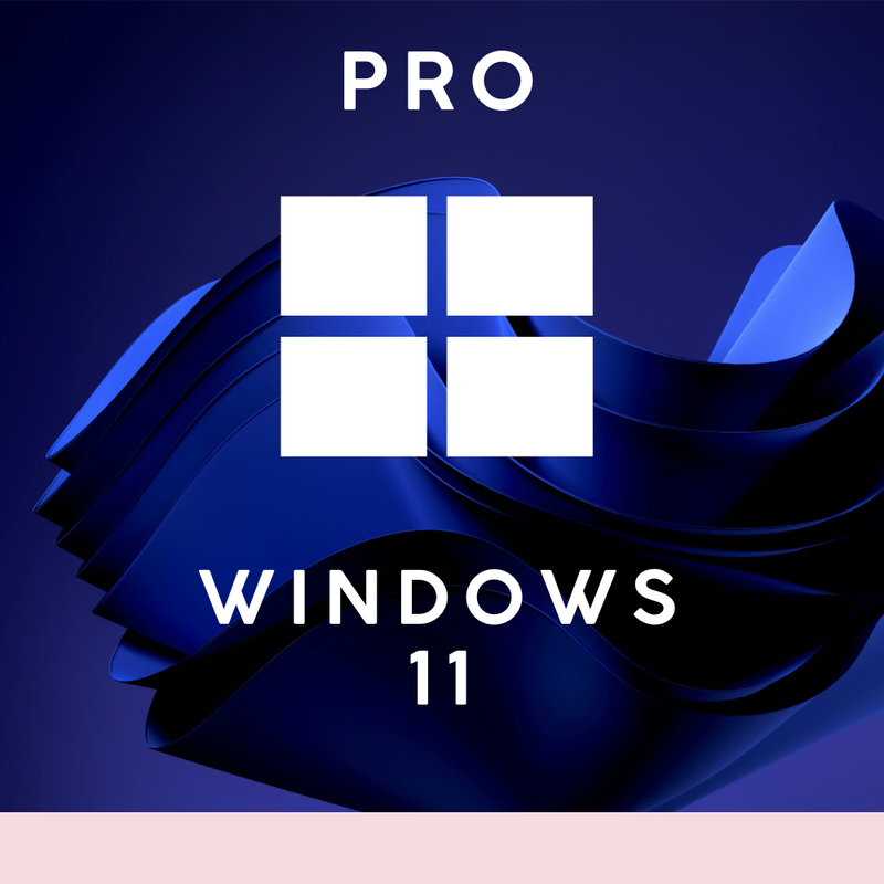Windows 11 Pro OEM