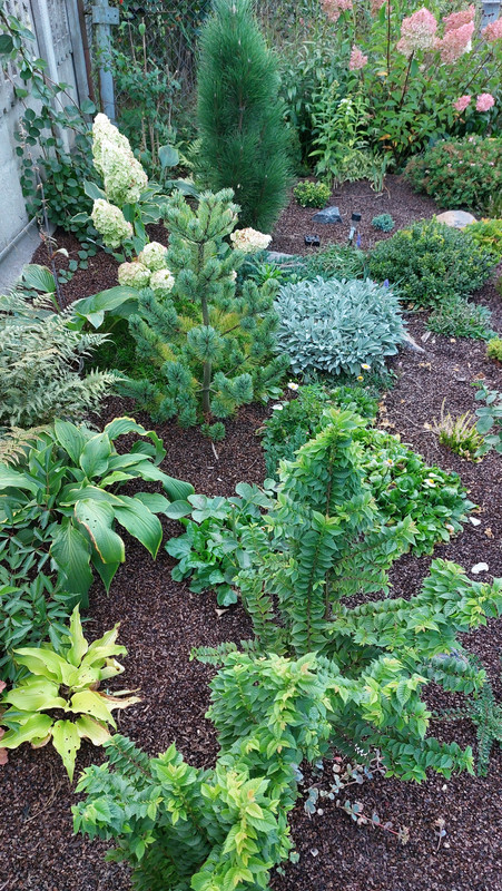 20230905_182701