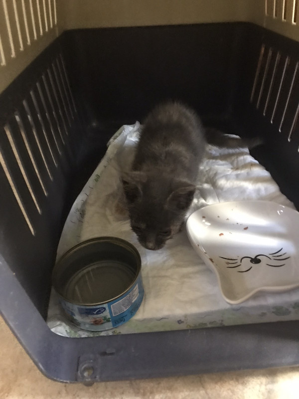 529F0DD6-A939-437B-9104-7BDCEBE218C3