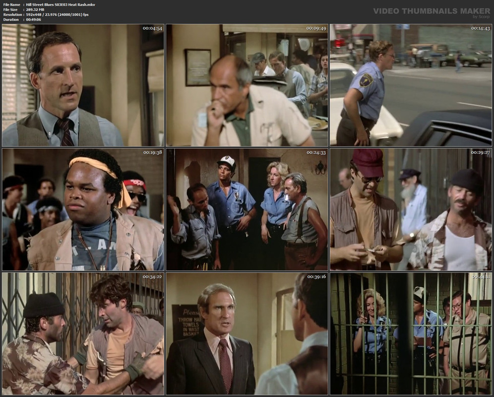 Hill Street Blues S03E03 Heat Rash.mkv