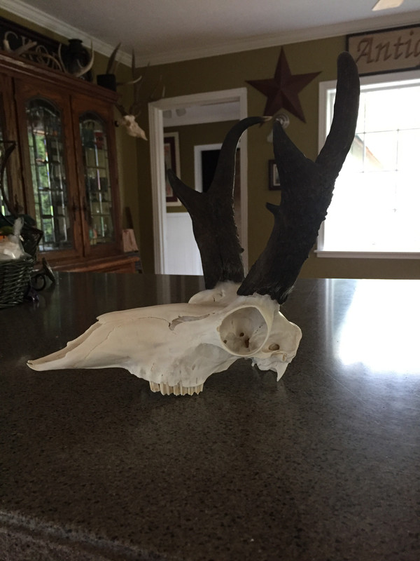 A34EC8EA-0FDD-4138-B2A2-31E08946B5DB