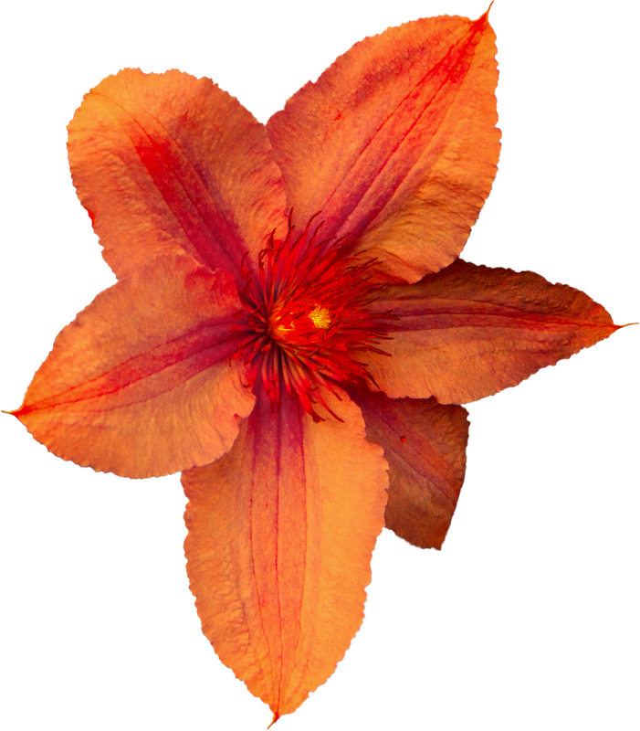 Kastagnette_PrettyGarden (41)