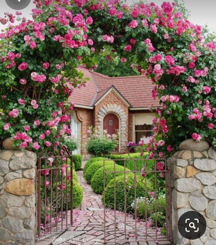 Screenshot_20240204_180253_Pinterest