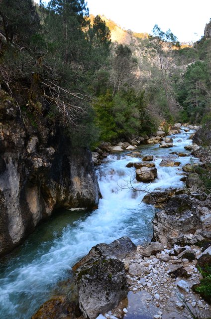 RUTA RIO BOROSA-12-3-2016-JAEN - Paseando por España-1991/2016 (211)