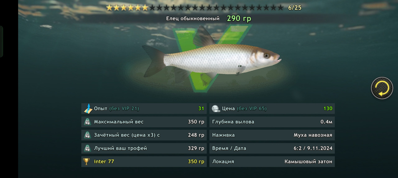 Screenshot-2024-11-09-06-02-55-34-fa28ee