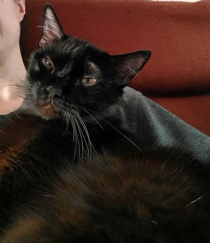 IMG 20260321 160934267 HDR 2