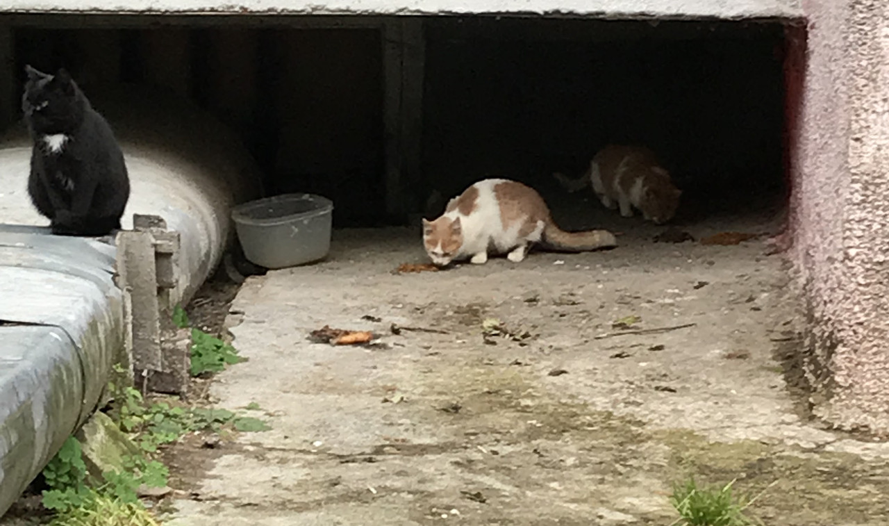 Выбрали? позвоните+375-33-602-45-42 64E6BF95-8C75-4D2D-9209-C16C