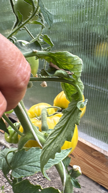 AFBDF45B-E984-4036-8254-ABF0545B0EE4