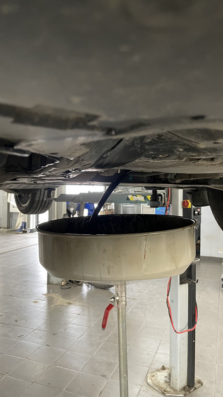 7393AD7E-FB99-4F0D-9E81-35A072EAC24D