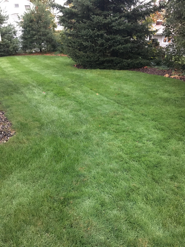 DA6B000E-A390-4090-A992-76AC0939E5B7