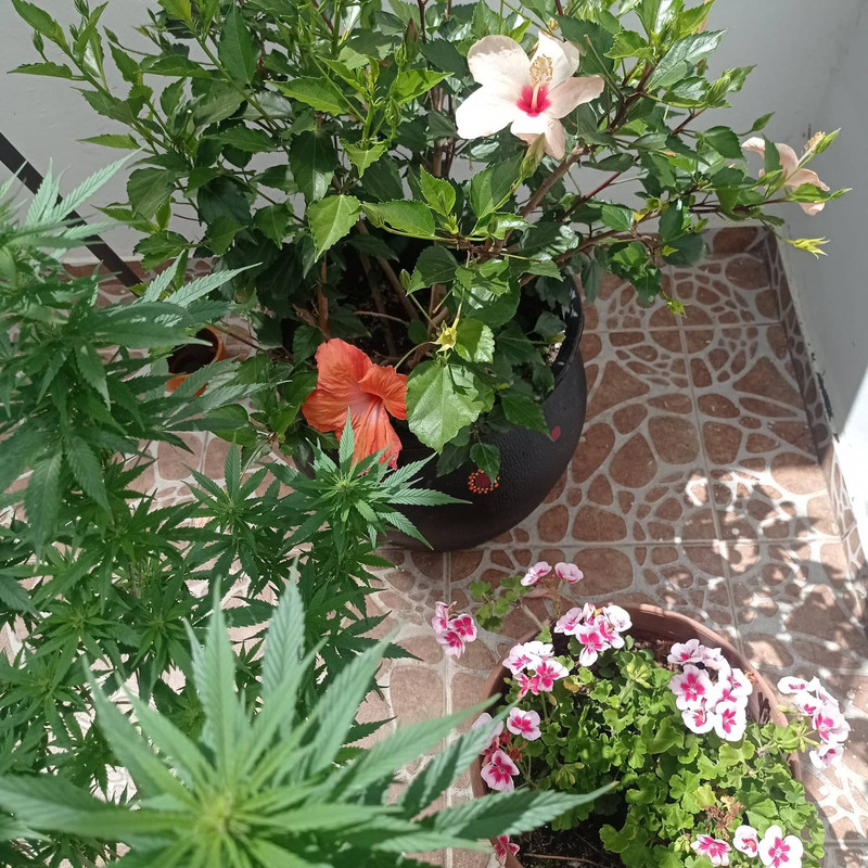 310217514_2895789227236740_2562557347186989349_n