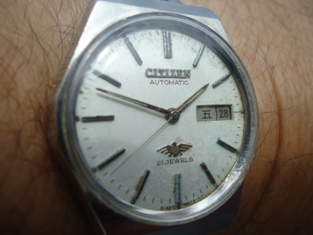 citizen eagly
