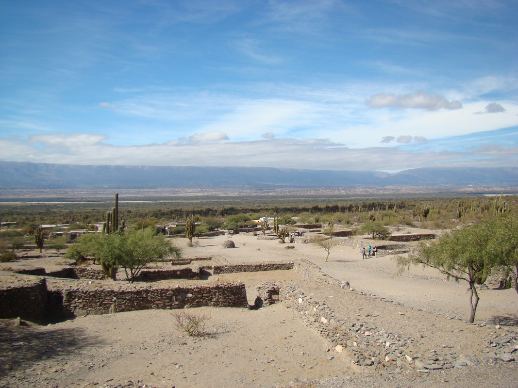 Entre Amaichá y Cafayate (56)
