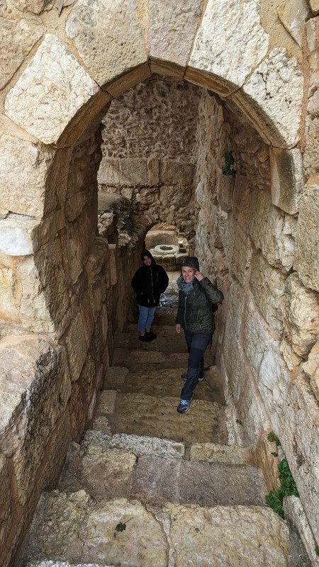 Una semanita por Jordania - Blogs de Jordania - El norte y marcha (16)