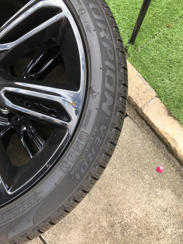 CAA4C7F3-F602-4A33-A684-D1D17E653D88