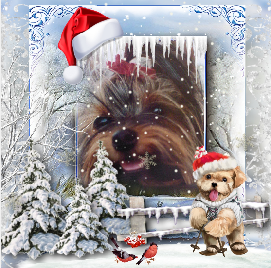 téléchargement 2020 11 30T174318 486 (3)