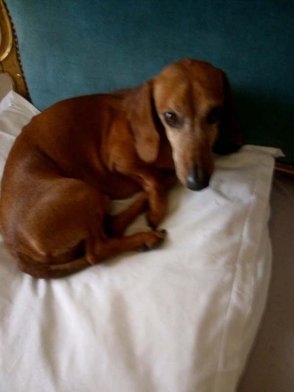 [Image: image000000-122.jpg]