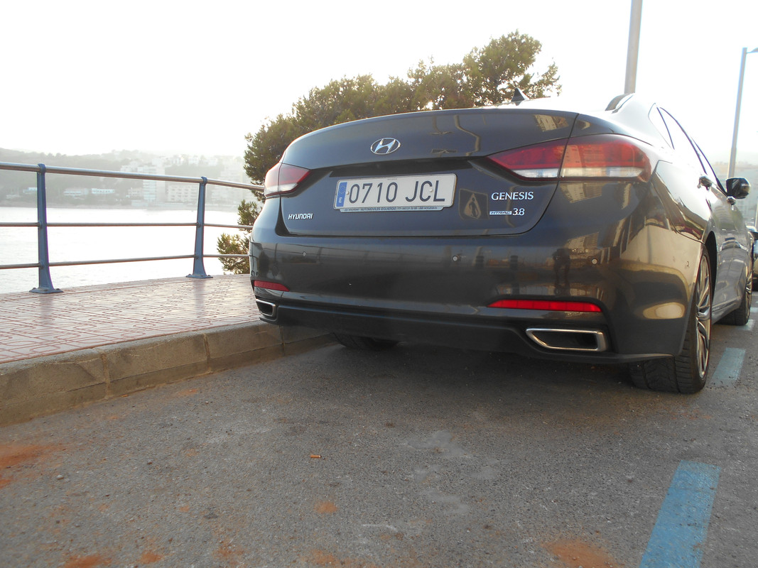 DSCN1229.jpg