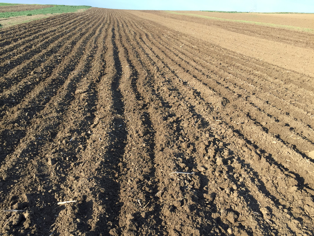 D6D624F0-5D84-4608-A892-D3559F502AB2