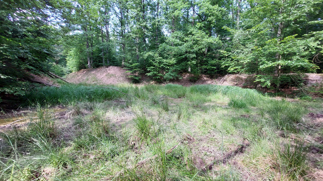 05.16 - 20250619_161617 (TomaszK)