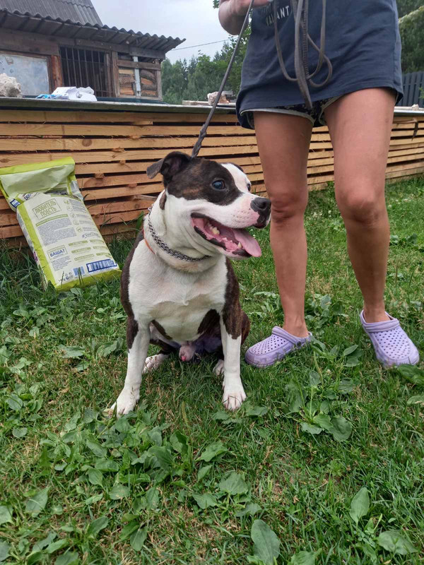 D93538C2-3960-4C45-A4E7-BBEC1580C083